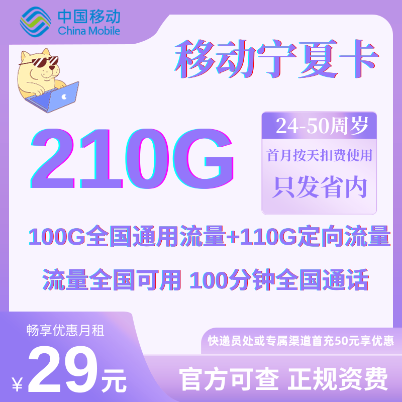 中国移动宁夏卡29元100G通用+110G定向+100分钟通话（仅发省内）