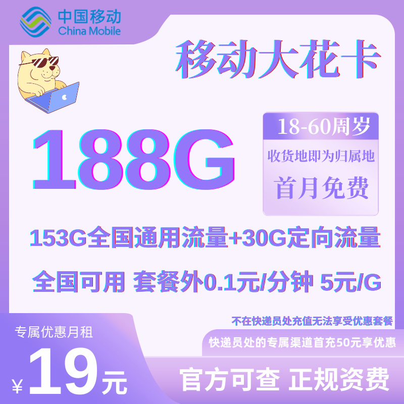 中国移动大花卡（19）19元158G通用+30G定向+0.1元/分钟 收货地为归属地