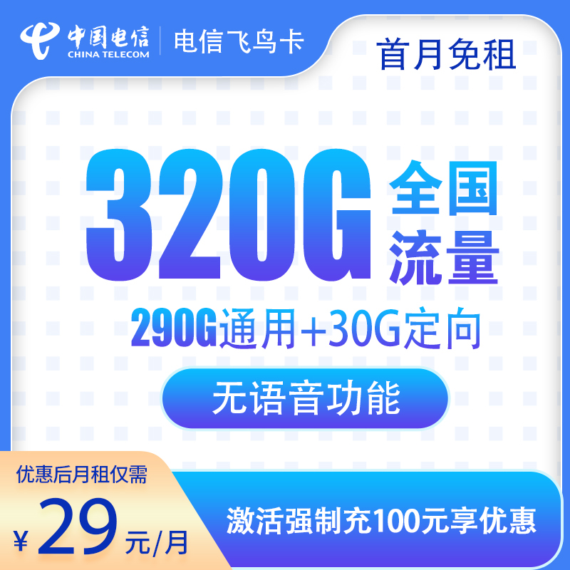 电信飞鸟卡29元320G【关闭语音】