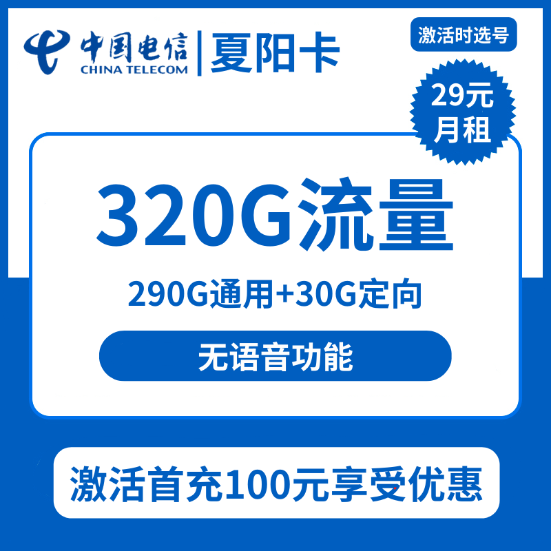 电信夏阳卡29元包290G通用+30G定向+无语音功能