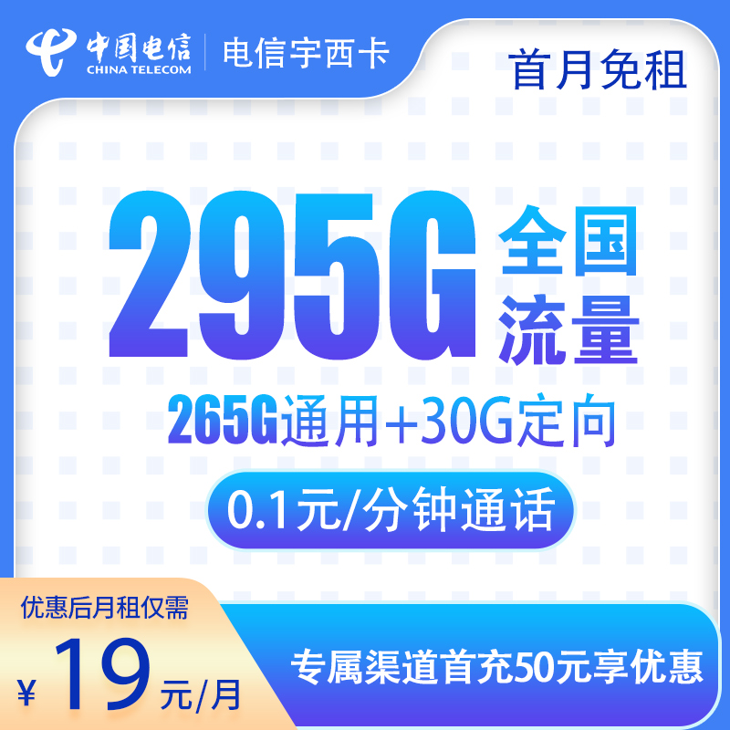 电信宇西卡19元295G
