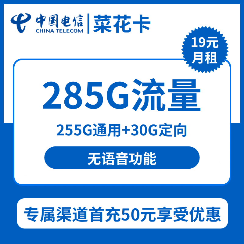 电信菜花卡19元包255G通用+30G定向+无语音功能