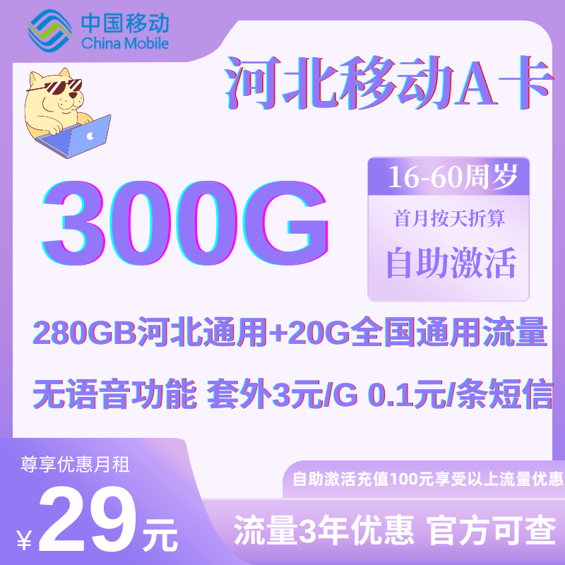 中国移动河北A卡（2024）河北29元300G通用流量+无语音功能远离骚扰（3年优惠）