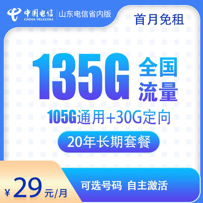 山东电信省内版29元135G【20年不变】