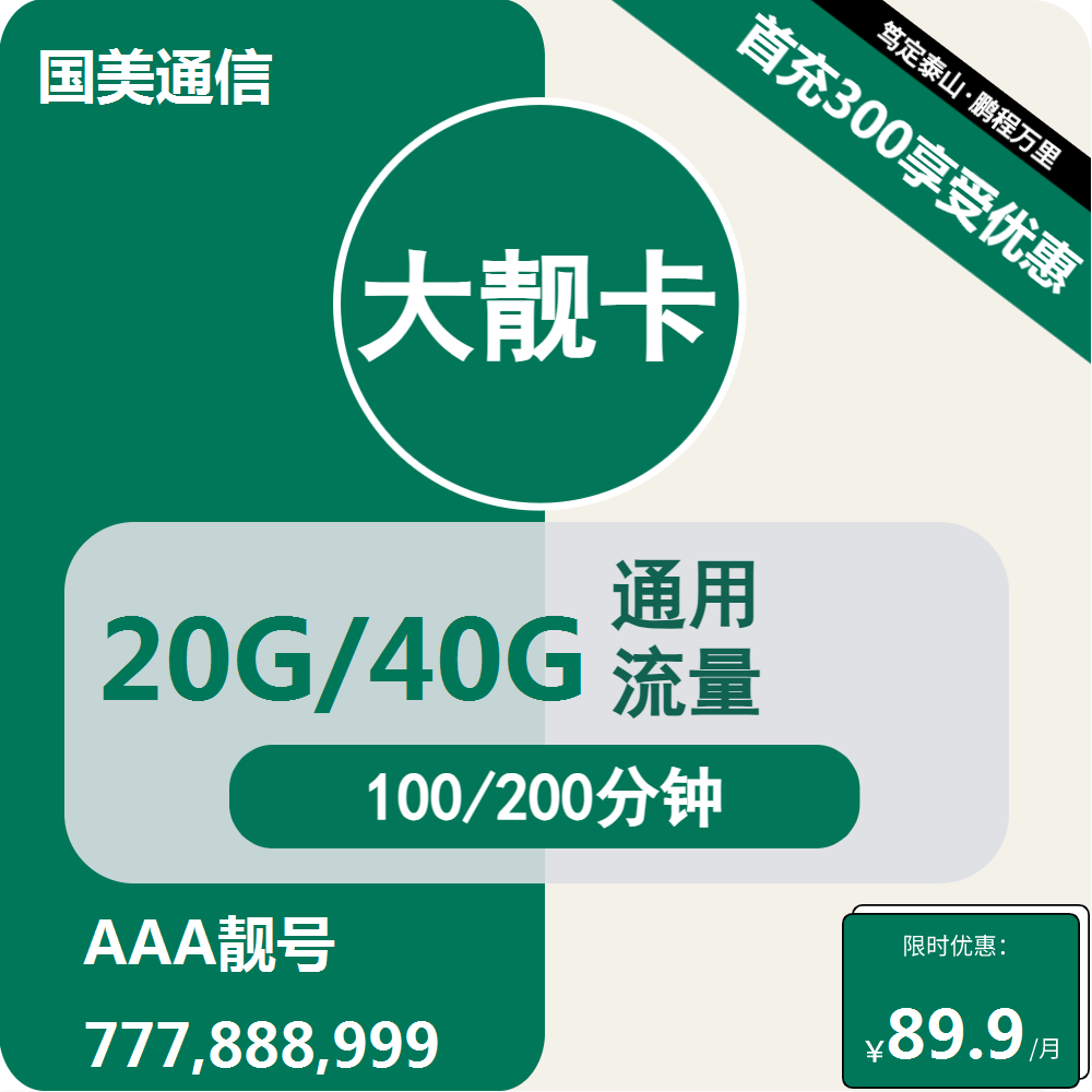 移动国美大靓卡89.8元包20G/40G通用+通话100/200分钟