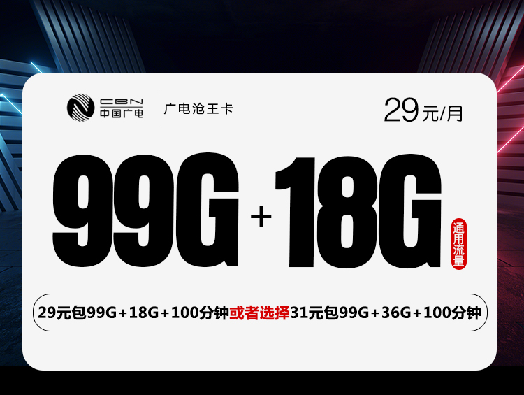 广电沧王卡【29元117G或31元135G】丨广电沧王卡【29元117G或31元135G】