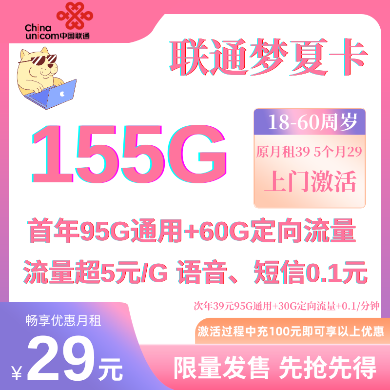 中国联通梦夏卡（正常选号 发宁夏省内）39元95G通用+60G定向+0.1元/分钟（充值100可前5个月月租29元）