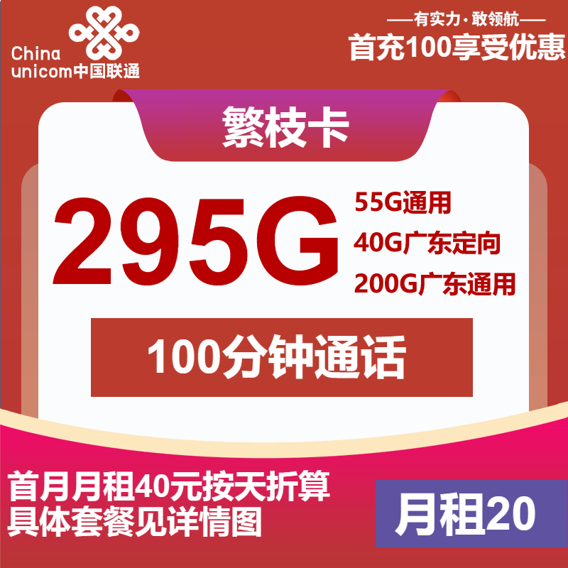 联通繁枝卡20元包55G通用+200G广东通用+40G广东定向+100分钟