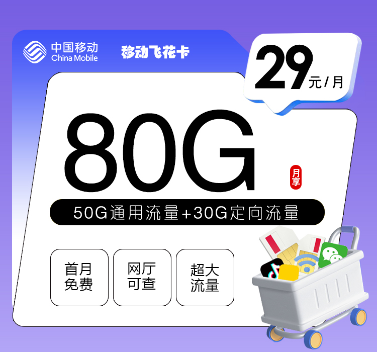 移动飞花卡29元80G