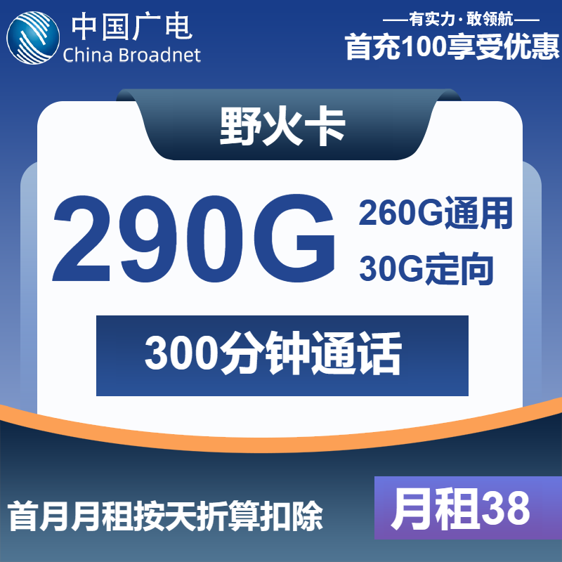 广电野火卡38元包260G通用+30G定向+300分钟