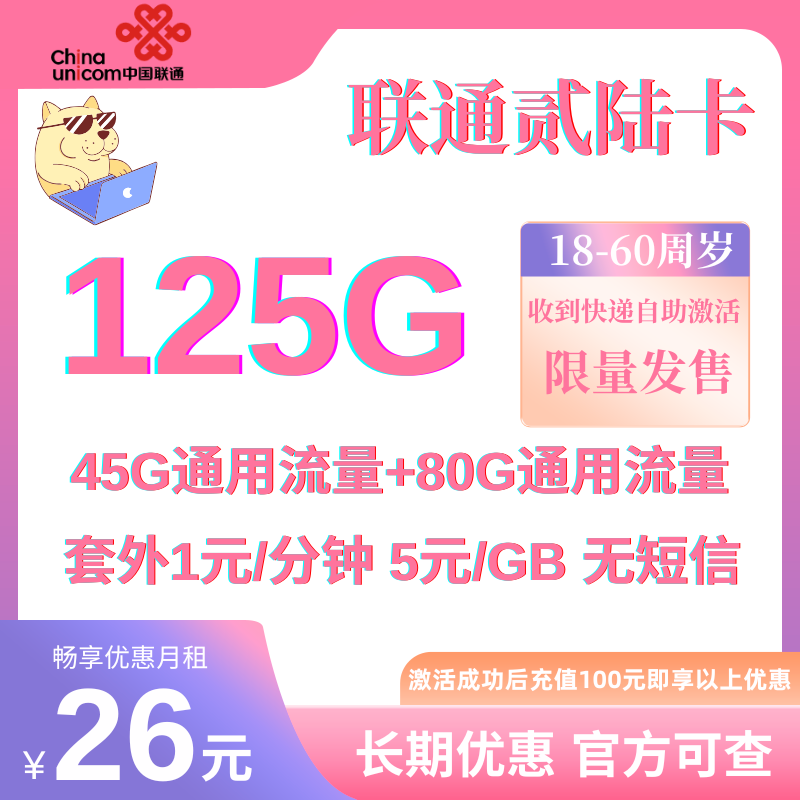 中国联通长期125G卡发全国API专用丨26元125G全国通用+1元/分钟（长期套餐）