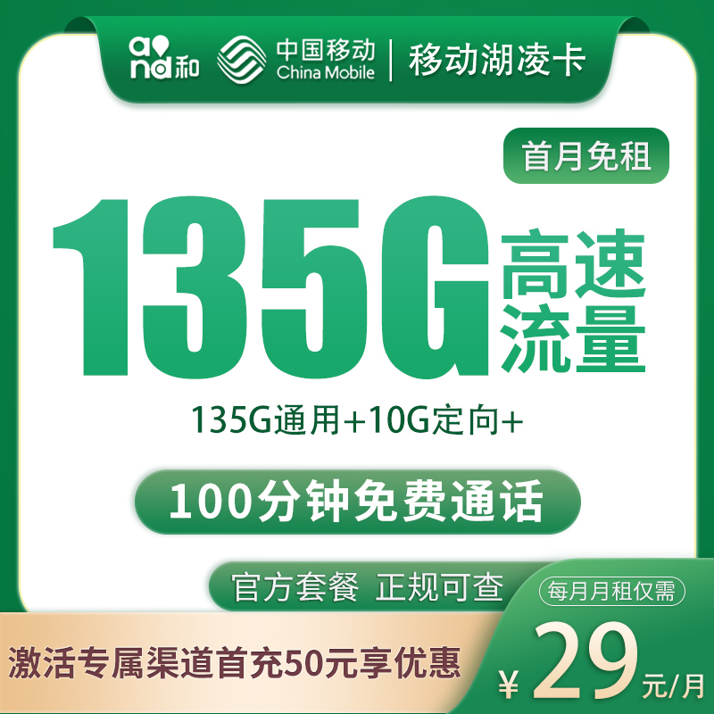 N湖南移动29元145G+100分钟【只发湖南】