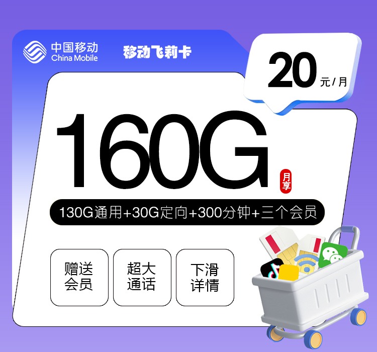 移动飞莉卡20元160G+300分钟+3个会员