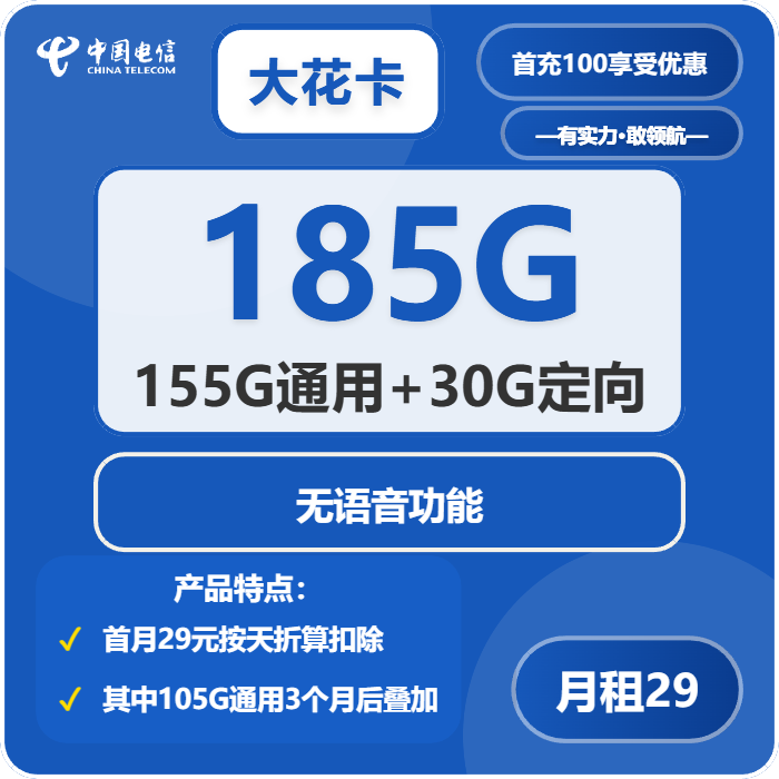 电信大花卡29元包155G通用+30G定向+无语音功能