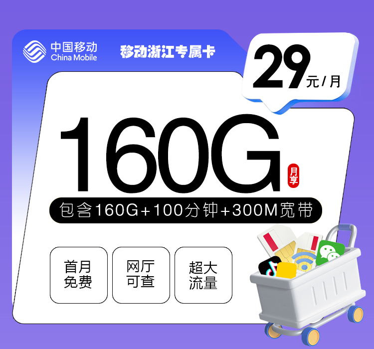 移动浙江专属卡29元160G+100分钟+300M宽带