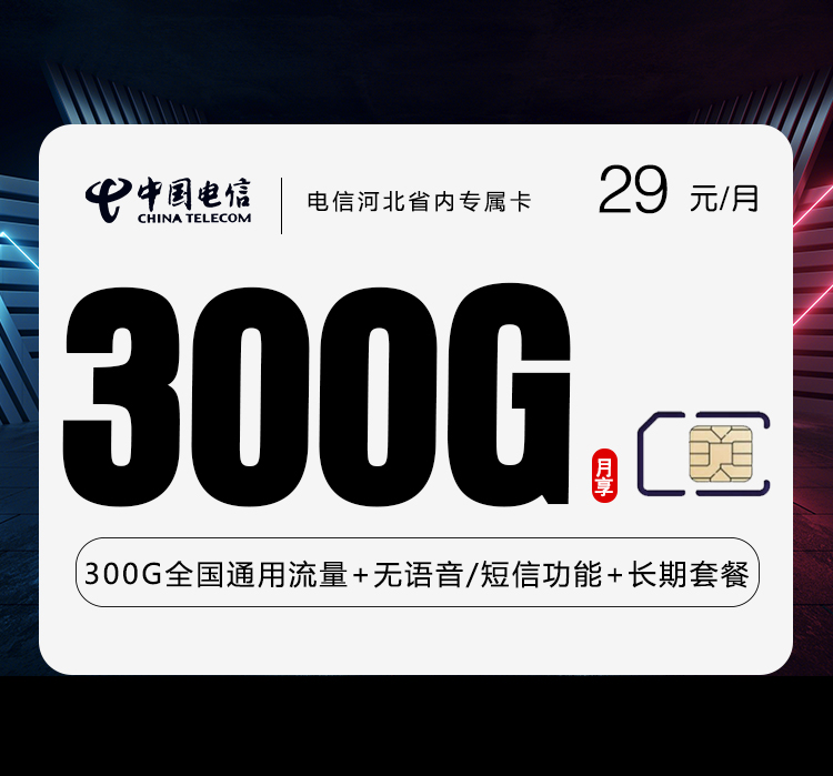 电信河北省内专属卡29元300G