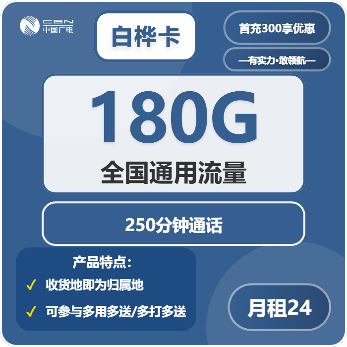 广电白桦卡24元包180G通用+250分钟通话