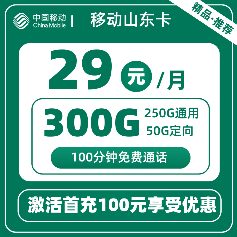 移动山东卡29元300G+100分钟