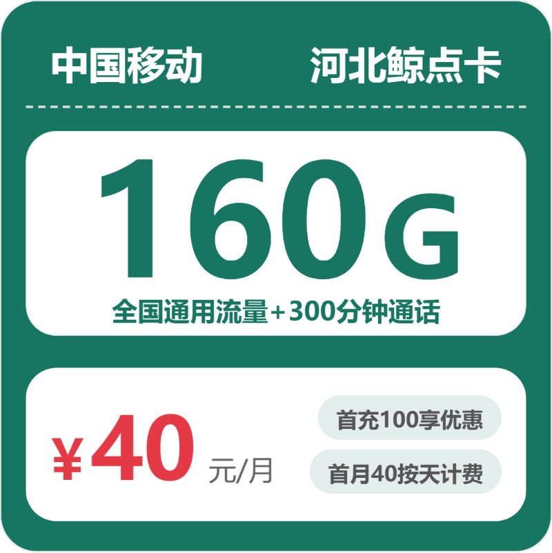 移动河北鲸点卡40元包160G+300分钟