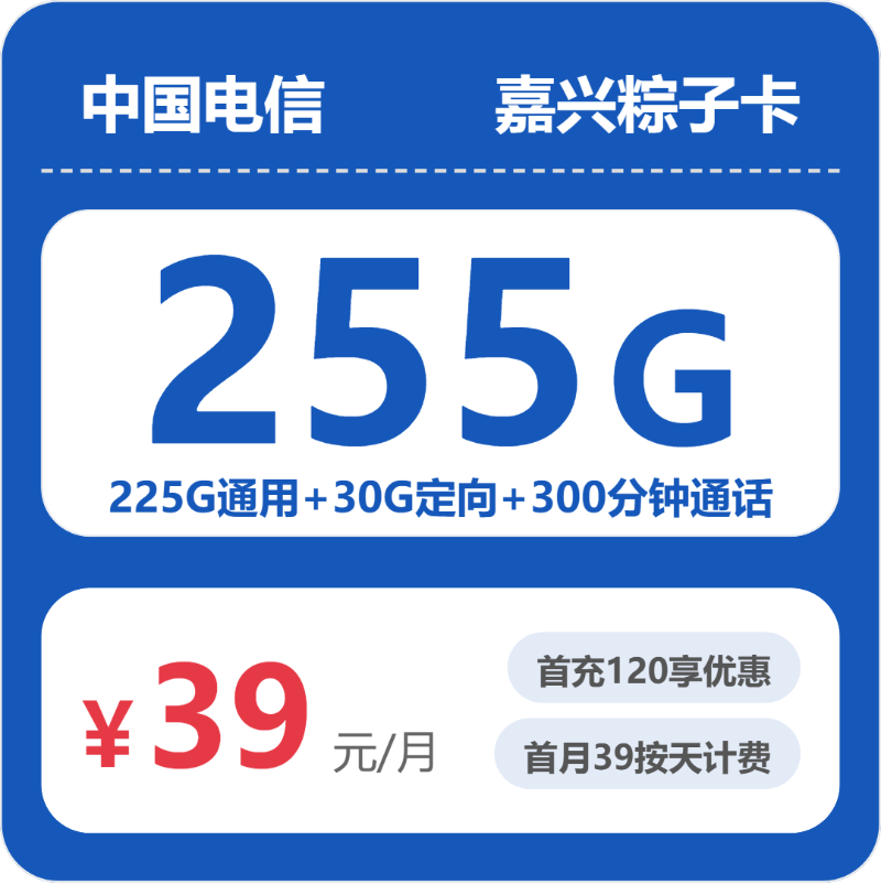 电信嘉兴粽子卡39元包255G+300分钟