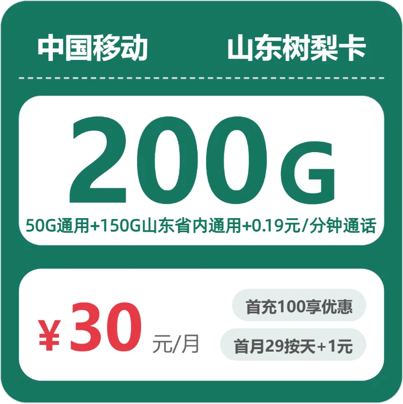 移动山东树梨卡30元包200G+0.19元/分钟
