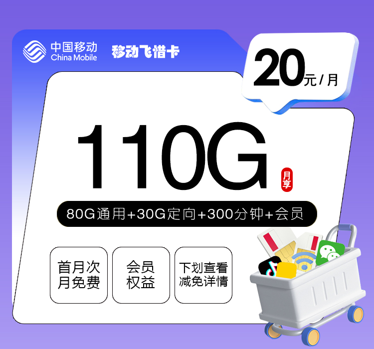 移动飞惜卡20元110G+300分钟+会员