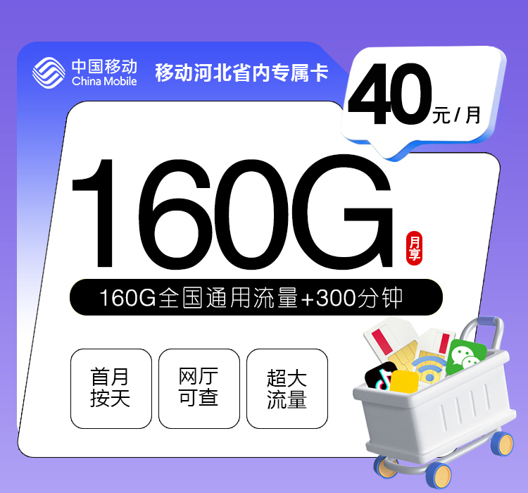 移动河北省内专属卡40元160G+300分钟
