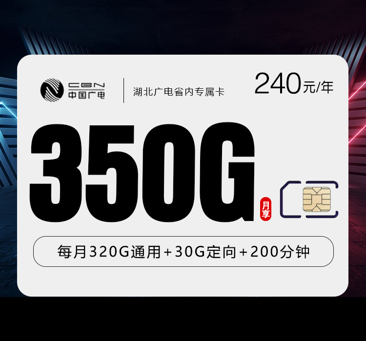 湖北广电省内专属卡月均20元350G+200分钟