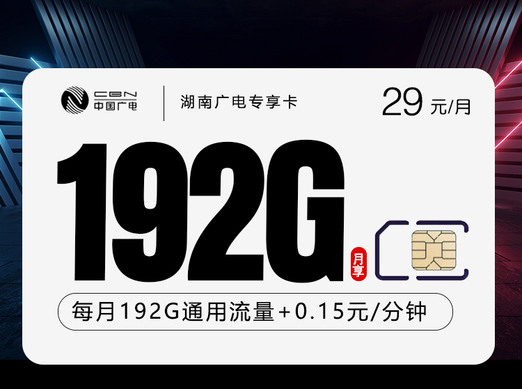 广电专属湖南卡29元192G