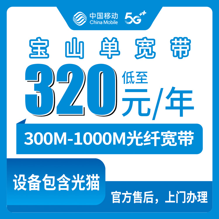 移动上海宝山区宽带卡320-760元包年300-1000M单宽带套餐