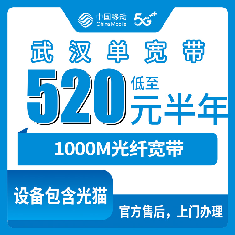 移动湖北武汉宽带卡520包半年880包一年1000M单宽带套餐