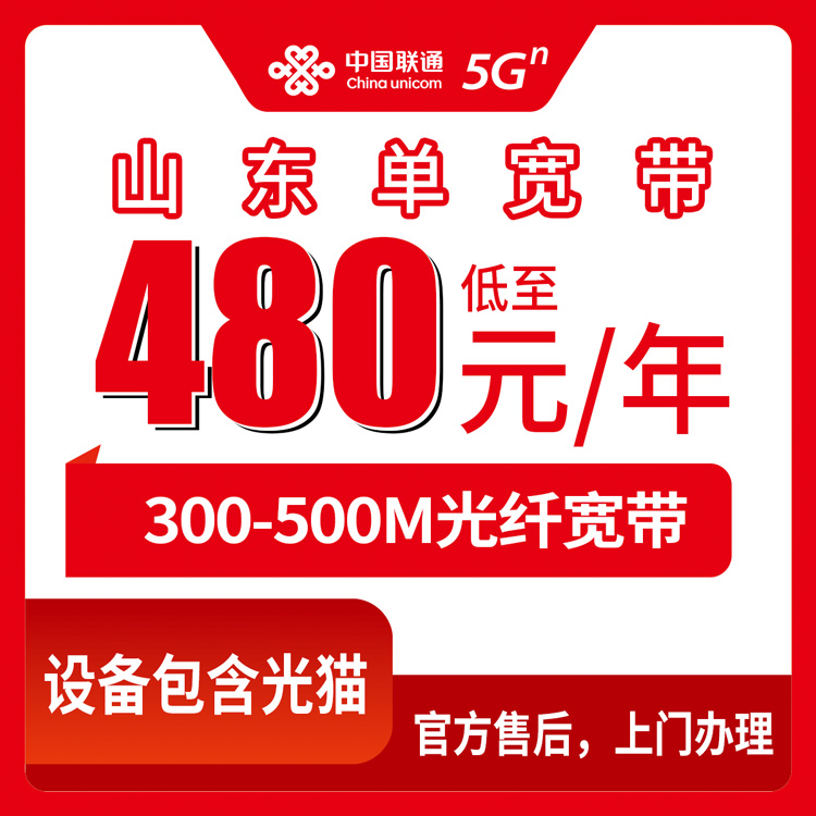 联通山东全省宽带卡480-1080元包1-2年300-500M单宽带套餐