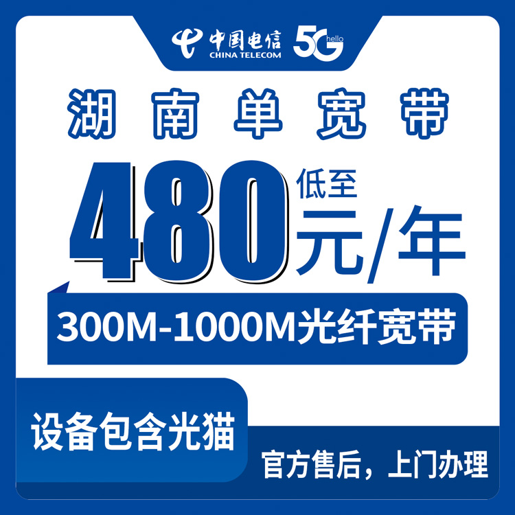 电信湖南全省宽带卡480-1200元包年300-1000M单宽带